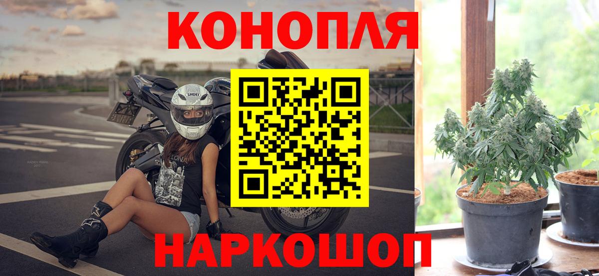 Канабис ГИДРОПОН Армавир